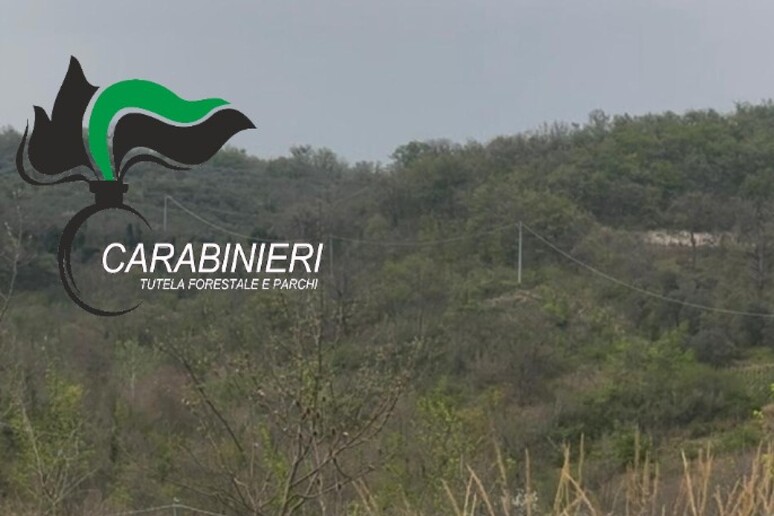 - RIPRODUZIONE RISERVATA