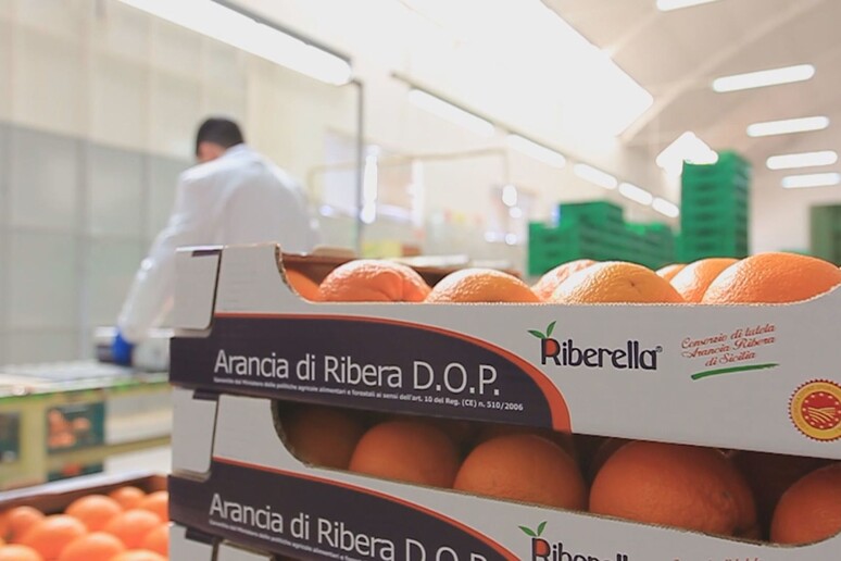 - RIPRODUZIONE RISERVATA