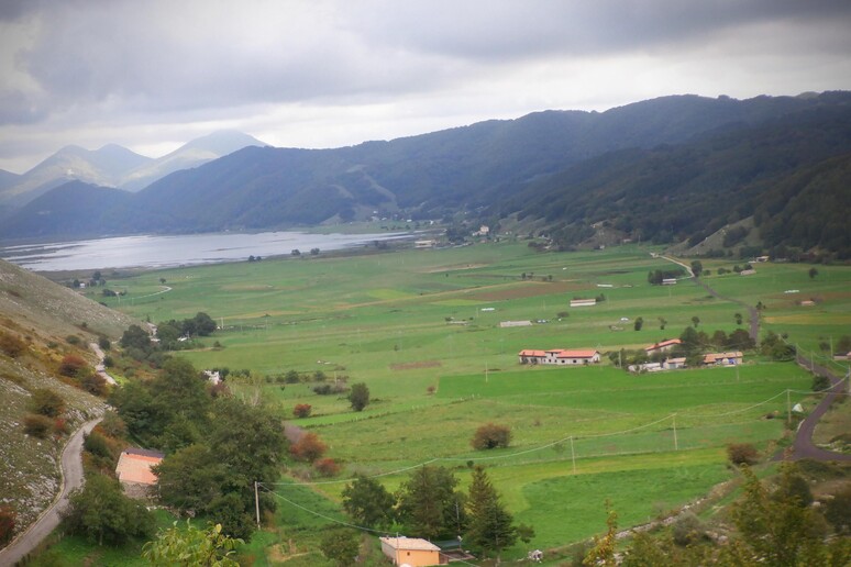- RIPRODUZIONE RISERVATA