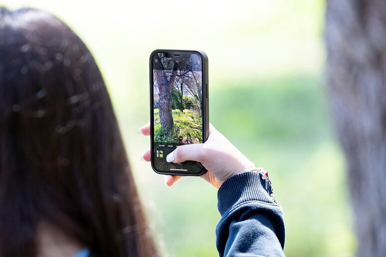 Al via l 'edizione 2025 della City Nature Challenge, dedicata alla biodiversità nelle città (fonte: City Nature Challenge) - RIPRODUZIONE RISERVATA