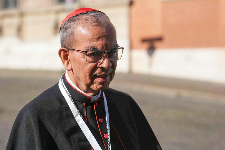 Cardinale Gregorio Rosa Chavez © ANSA/AFP