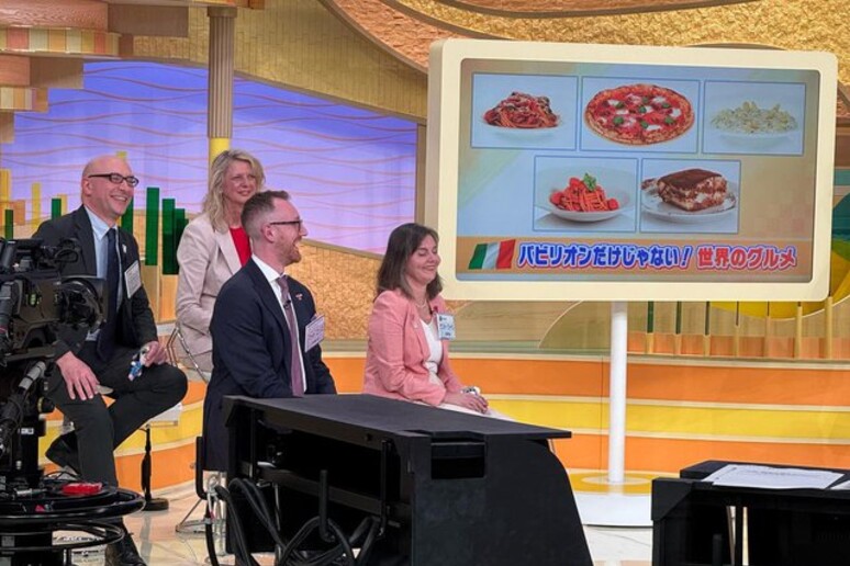 Sondaggio tv giapponese, Padiglione Italia il più votato - RIPRODUZIONE RISERVATA