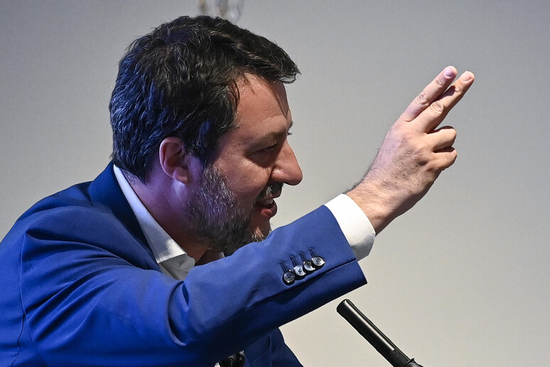 Salvini - RIPRODUZIONE RISERVATA