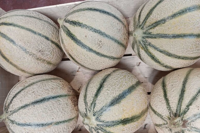 - RIPRODUZIONE RISERVATA