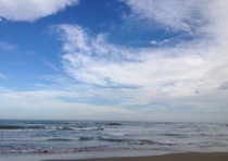 A beach in Marche