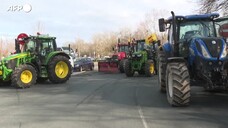 Protesta trattori, agricoltori in presidio in Francia